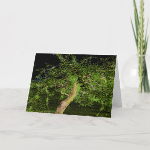 Apple Tree: Digitally Enhanced Edited Twisted Tree Card