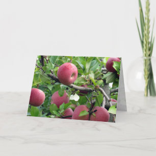 Apple Tree Greeting Card