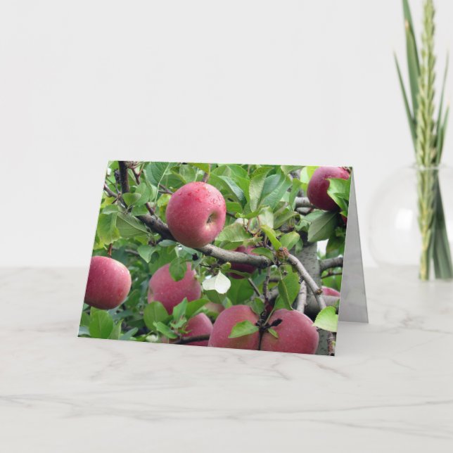 Apple Tree Greeting Card (Front)
