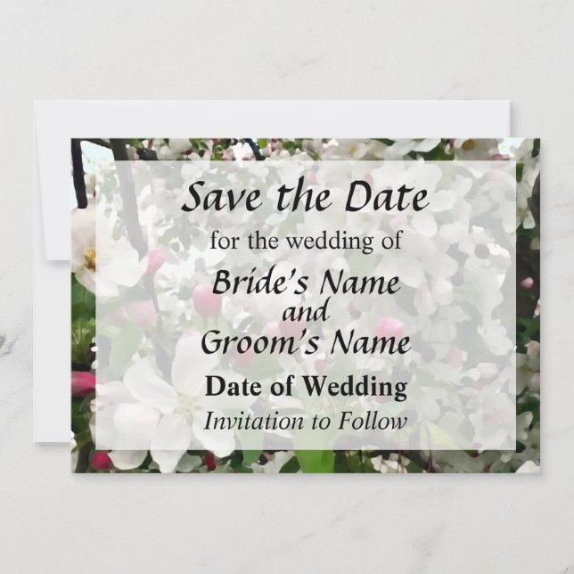 Apple Tree In Bloom Save the Date (Front)