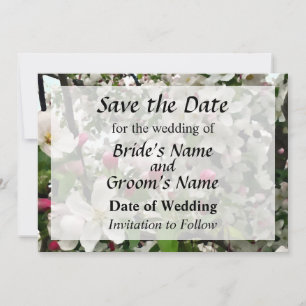 Apple Tree In Bloom Save the Date
