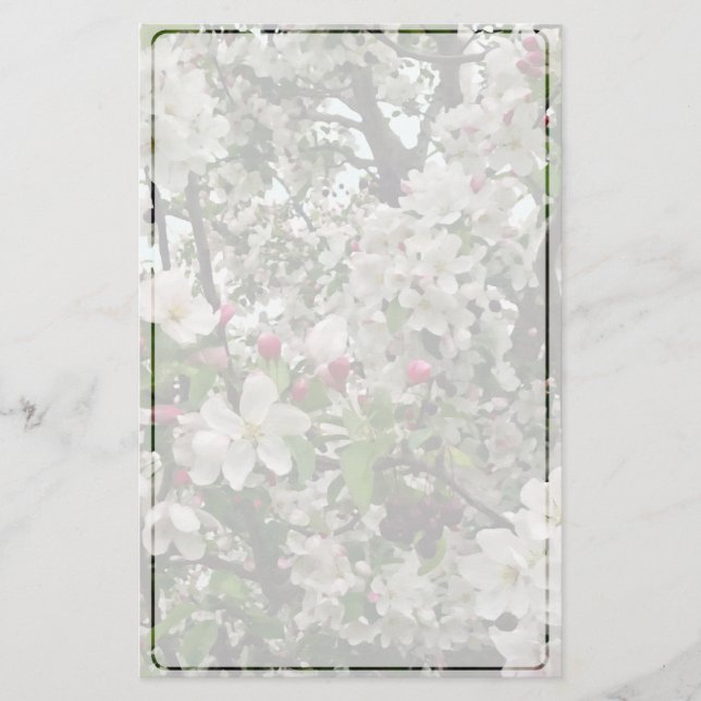 Apple Tree In Bloom Stationery (Front)