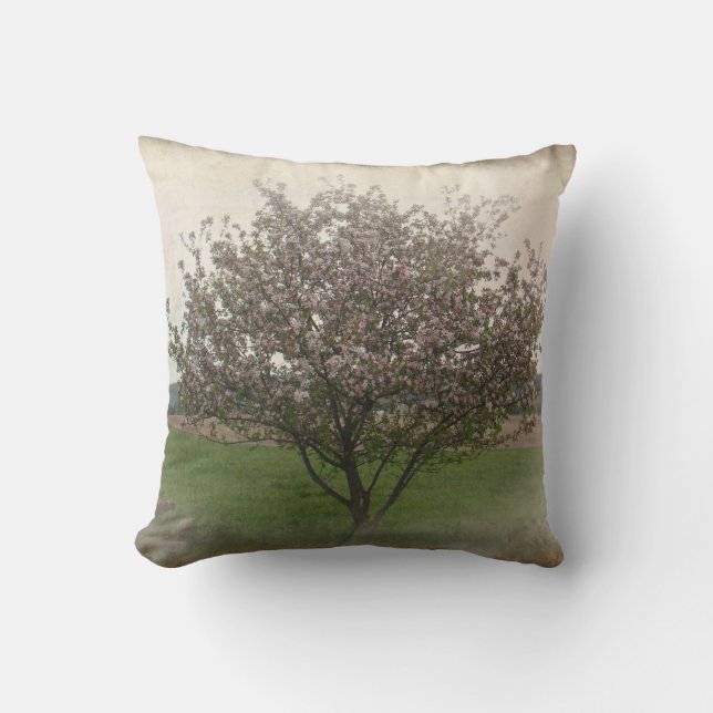 Apple Tree in Bloom Throw Pillow (Front)