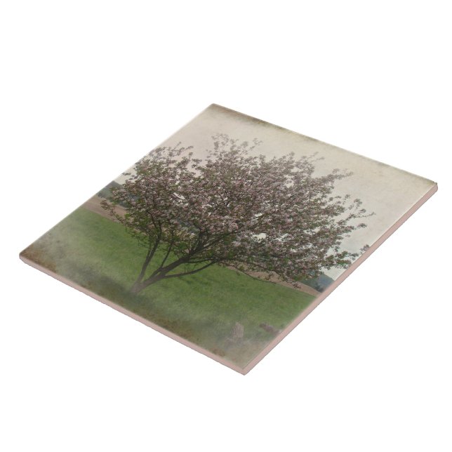 Apple Tree in Bloom Tile (Side)