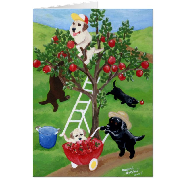 Apple Tree Labradors (Front)