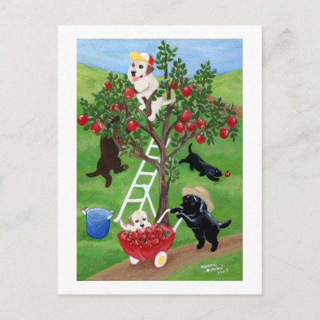 Apple Tree Labradors Postcard (Front)
