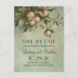 Apple tree rustic save the date postcards