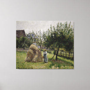 Apple Trees in Eragny   Sunny Morning Canvas Print