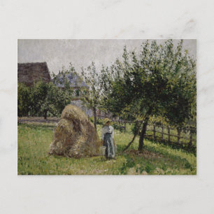 Apple Trees in Eragny   Sunny Morning Postcard