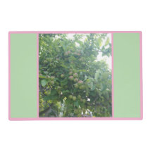 Apples A-Go-Go