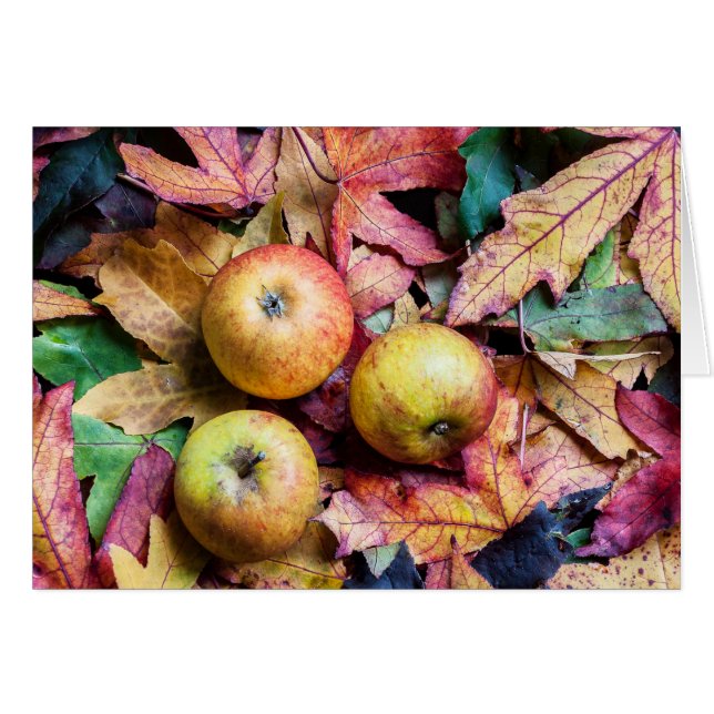 Apples and autumn leaves blank (Front Horizontal)