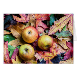 Apples and autumn leaves customisable
