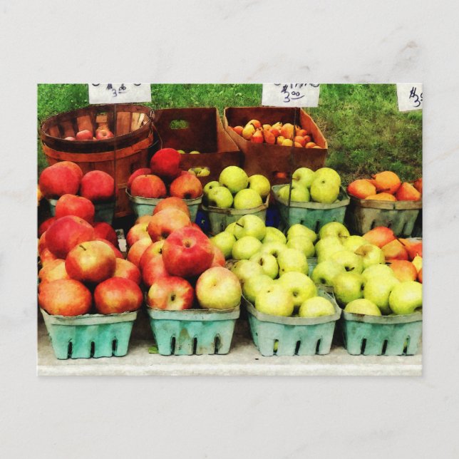 Apples at Farmer's Market Postcard (Front)