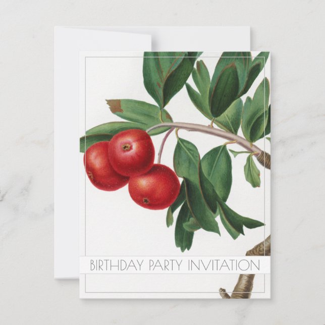 APPLES BIRTHDAY PARTY INVITATION FLAT CARD (Front)