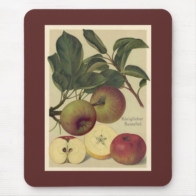 Apples Botanical Vintage German Illustration Mouse Pad (Front)