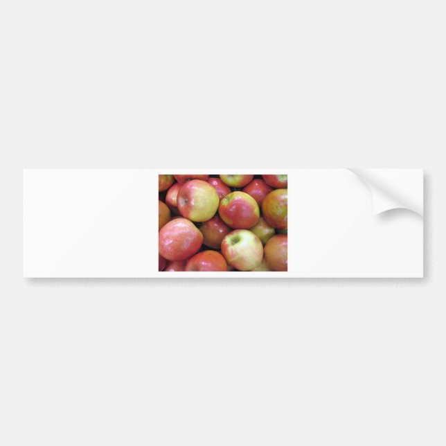 Apples Bumper Sticker (Front)