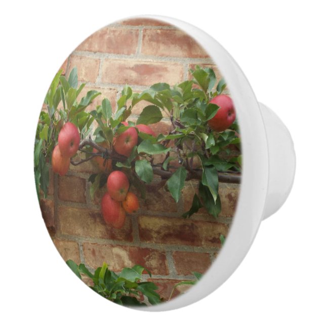 APPLES GROWING ON BRICK WALL ESPALIER CERAMIC KNOB (Right)