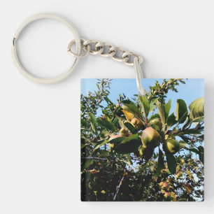 Apples Keychain