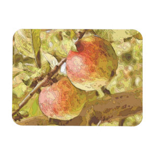 APPLES MAGNET