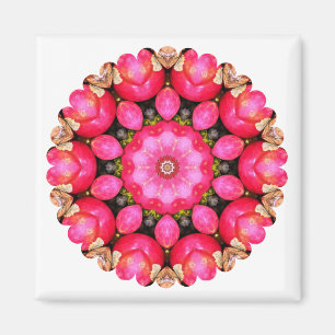 APPLES MAGNET