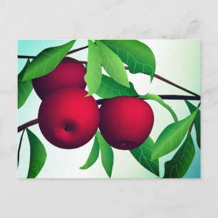 "Apples on a Branch" Postcard