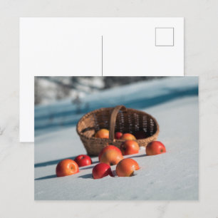 Apples on the snow postcard