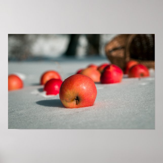 Apples on the snow poster (Front)