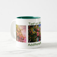 Apples On Tree Nature Photography Personalized