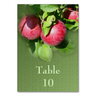 Apples On Tree Nature Wedding Table Number