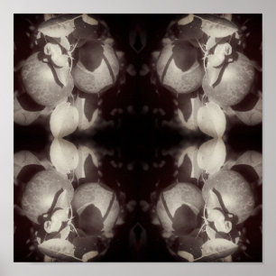 Apples On Tree Vintage Black And White Abstract Poster