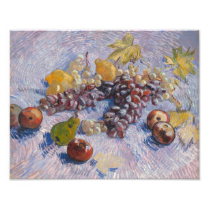 Apples, Pears, Lemons and Grapes   Vintage Artwork Photo Print