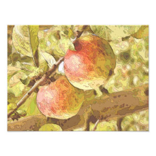 APPLES PHOTO PRINT