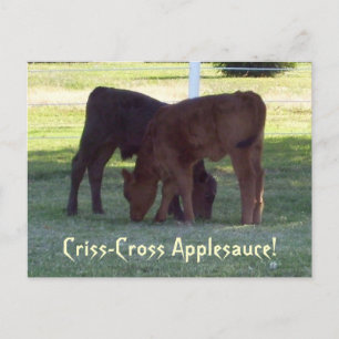 Applesauce Criss-Cross ! Carte postale Calques