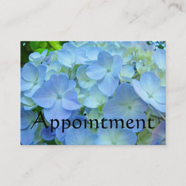 Appointment cards custom Business Service Blue (Front)