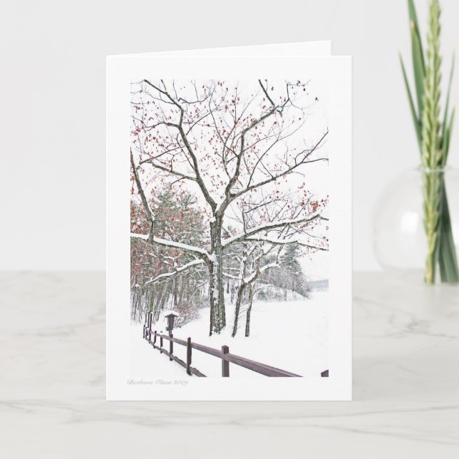 Appointments in Nature: Greeting size Card (Front)