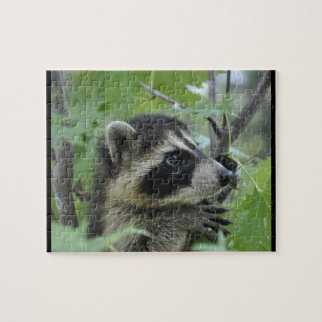 Apprehensive Raccoon - Jigsaw Puzzle (Horizontal)