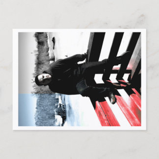 Approachable Wolf Post Card Print