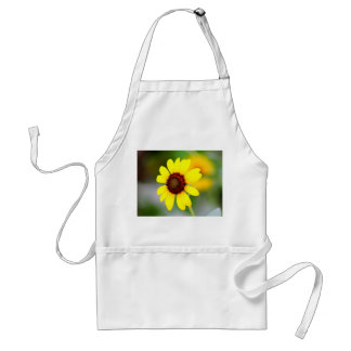 Appron Standard Apron