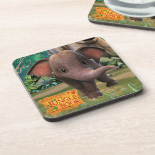 Appu Coaster