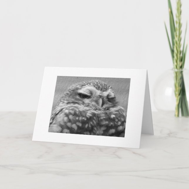 Appy Owlidays. Holiday Card (Front)