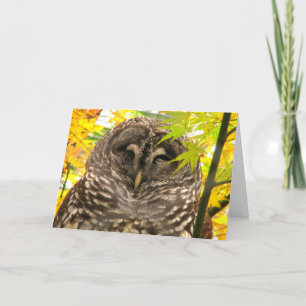 Appy Owlidays Holiday Card