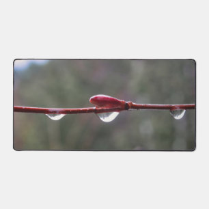 Après la pluie