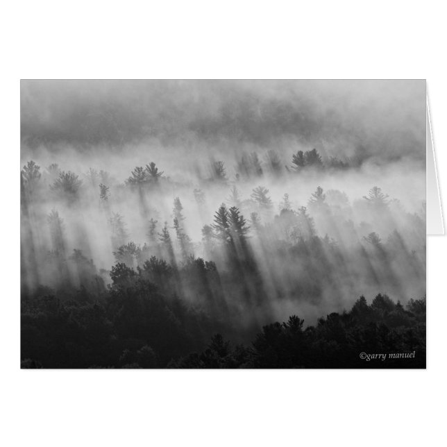 Après la pluie - ADK - Carte (Devant horizontal)