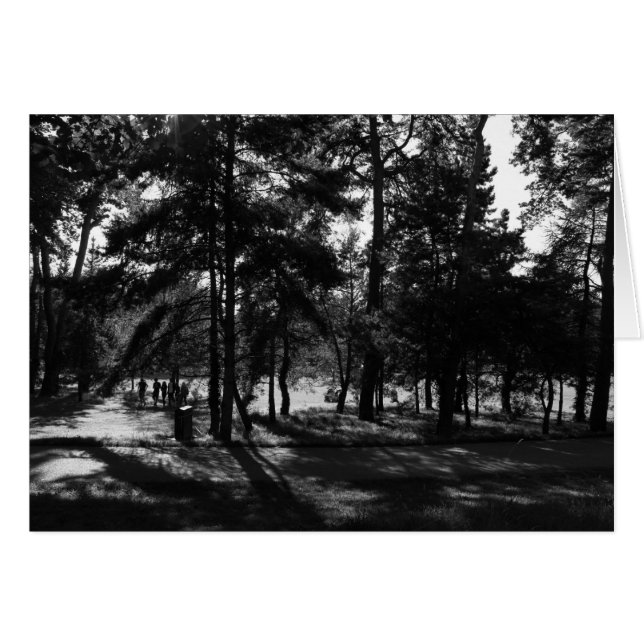 Après-midi dans le parc (Devant horizontal)