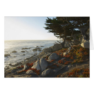 Après-midi de chute sur le Pacifique