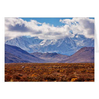 Après-midi du désert