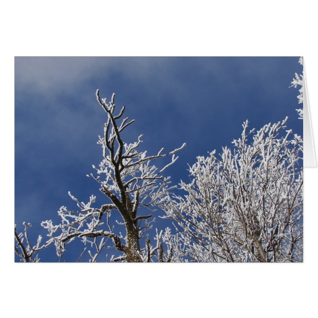 Après-midi Frosty Iowa (Devant horizontal)