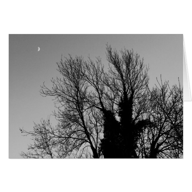 Après-midi médiéval d'hiver (Devant horizontal)