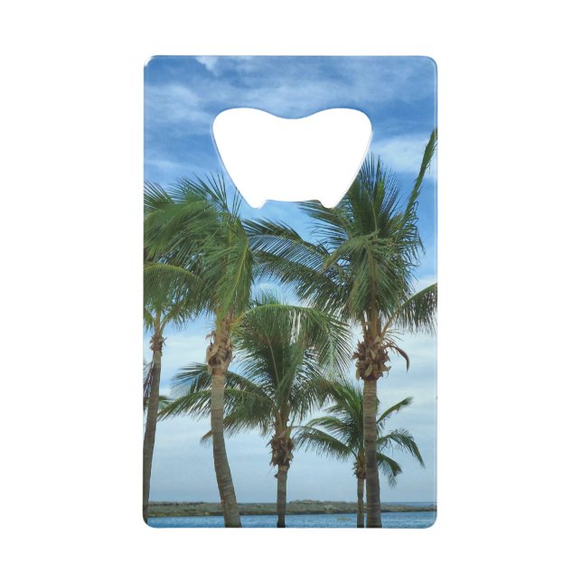 Après-midi tropical (Devant)