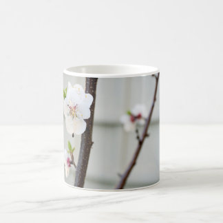 Apricot Blossom Coffee Mug